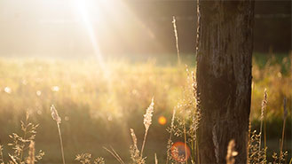 在线手机号轰炸机