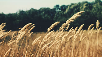 手机号测压网页